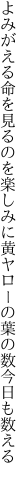よみがえる命を見るのを楽しみに 黄ヤローの葉の数今日も数える