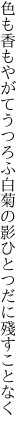 色も香もやがてうつろふ白菊の 影ひとつだに殘すことなく