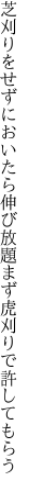 芝刈りをせずにおいたら伸び放題 まず虎刈りで許してもらう