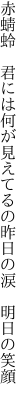 赤蜻蛉 君には何が見えてるの 昨日の涙 明日の笑顔