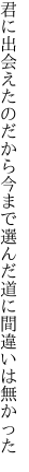 君に出会えたのだから今まで 選んだ道に間違いは無かった