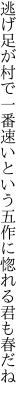 逃げ足が村で一番速いという 五作に惚れる君も春だね