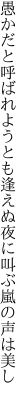 愚かだと呼ばれようとも逢えぬ夜に 叫ぶ嵐の声は美し