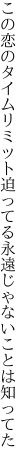 この恋のタイムリミット迫ってる 永遠じゃないことは知ってた