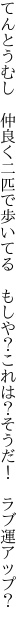 てんとうむし　仲良く二匹で歩いてる　もしや ？これは？そうだ！　ラブ運アップ？