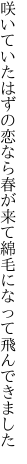 咲いていたはずの恋なら春が来て 綿毛になって飛んできました