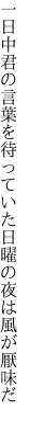 一日中君の言葉を待っていた 日曜の夜は風が厭味だ