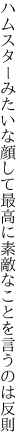 ハムスターみたいな顔して最高に 素敵なことを言うのは反則