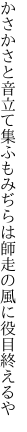 かさかさと音立て集ふもみぢらは 師走の風に役目終えるや