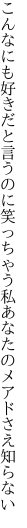 こんなにも好きだと言うのに笑っちゃう 私あなたのメアドさえ知らない