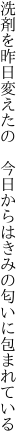 洗剤を昨日変えたの 今日からは きみの匂いに包まれている