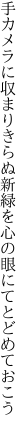 手カメラに収まりきらぬ新緑を 心の眼にてとどめておこう