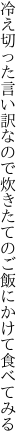 冷え切った言い訳なので 炊きたてのご飯にかけて食べてみる