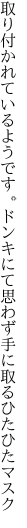 取り付かれているようです。ドンキにて 思わず手に取るひたひたマスク