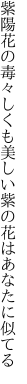 紫陽花の毒々しくも美しい 紫の花はあなたに似てる