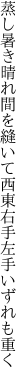 蒸し暑き晴れ間を縫いて西東 右手左手いずれも重く