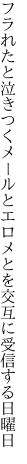 フラれたと泣きつくメールとエロメとを 交互に受信する日曜日