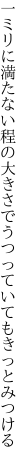 一ミリに満たない程の大きさで うつっていてもきっとみつける