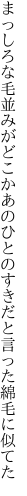 まっしろな毛並みがどこかあのひとの すきだと言った綿毛に似てた