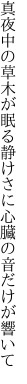 真夜中の草木が眠る静けさに 心臓の音だけが響いて