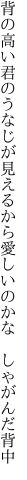 背の高い君のうなじが見えるから 愛しいのかな しゃがんだ背中