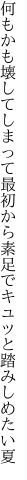 何もかも壊してしまって最初から 素足でキュッと踏みしめたい夏