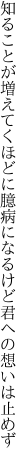 知ることが増えてくほどに臆病に なるけど君への想いは止めず