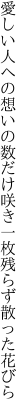 愛しい人への想いの数だけ咲き 一枚残らず散った花びら