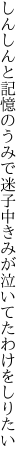 しんしんと記憶のうみで迷子中 きみが泣いてたわけをしりたい