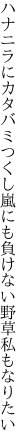 ハナニラにカタバミつくし嵐にも 負けない野草私もなりたい