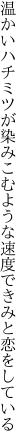 温かいハチミツが染みこむような 速度できみと恋をしている