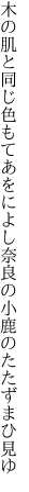 木の肌と同じ色もてあをによし 奈良の小鹿のたたずまひ見ゆ