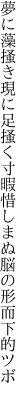 夢に藻掻き現に足掻く寸暇 惜しまぬ脳の形而下的ツボ