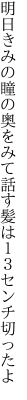 明日きみの瞳の奥をみて話す 髪は１３センチ切ったよ