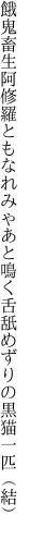 餓鬼畜生阿修羅ともなれみゃあと鳴く 舌舐めずりの黒猫一匹（結）