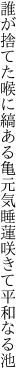 誰が捨てた喉に縞ある亀元気 睡蓮咲きて平和なる池