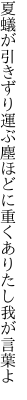 夏蟻が引きずり運ぶ塵ほどに 重くありたし我が言葉よ