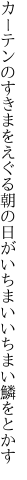 カーテンのすきまをえぐる朝の日が いちまいいちまい鱗をとかす