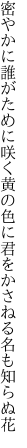 密やかに誰がために咲く黄の色に 君をかさねる名も知らぬ花