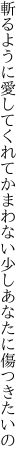 斬るように愛してくれてかまわない 少しあなたに傷つきたいの