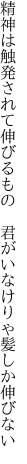 精神は触発されて伸びるもの  君がいなけりゃ髪しか伸びない