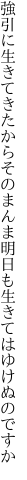 強引に生きてきたからそのまんま 明日も生きてはゆけぬのですか