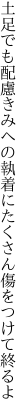 土足でも配慮きみへの執着に たくさん傷をつけて終るよ