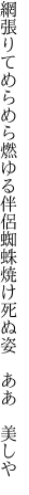 網張りてめらめら燃ゆる伴侶蜘蛛 焼け死ぬ姿　ああ　美しや