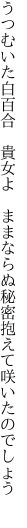 うつむいた白百合　貴女よ　ままならぬ 秘密抱えて咲いたのでしょう　