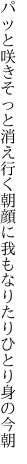 パッと咲きそっと消え行く朝顔に 我もなりたりひとり身の今朝