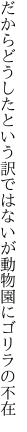 だからどうしたという訳ではないが 動物園にゴリラの不在