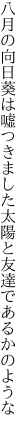 八月の向日葵は嘘つきました 太陽と友達であるかのような