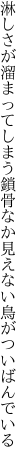 淋しさが溜まってしまう鎖骨なか 見えない鳥がついばんでいる