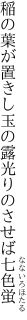 稲の葉が置きし玉の露 光りのさせば七色蛍